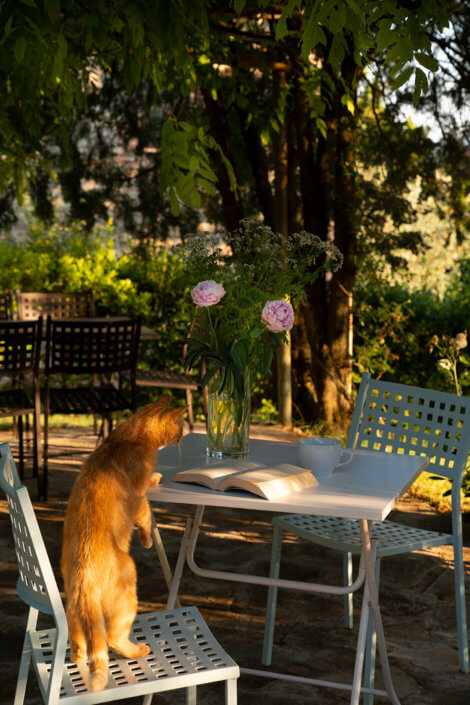 Platz im Garten