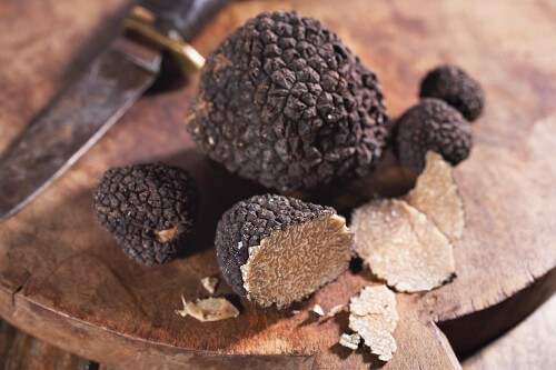 trüffel-truffle-tartufo