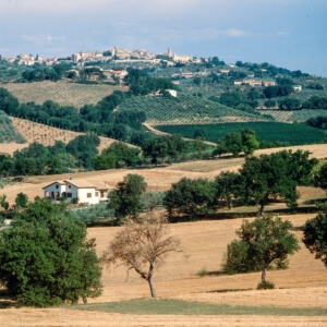 Stadt Montefalco aus der Ferne